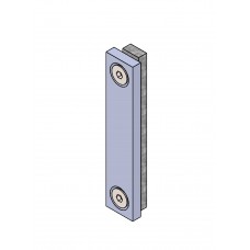 Magnet